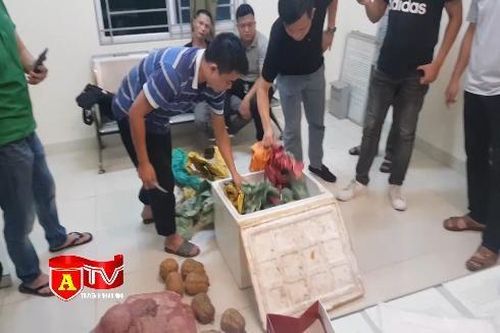 Thủ đoạn tinh quái của các đối tượng vận chuyển ma túy số lượng lớn từ Sơn La về Hà Nội