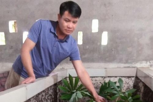 Làm giàu từ nuôi côn trùng