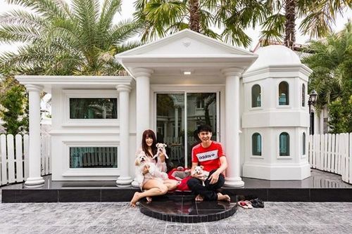 Được tậu 'biệt thự' riêng, chú chó khiến CĐM tự nhủ...