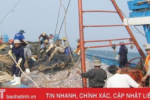 Hà Tĩnh lập Ban chỉ đạo chống khai thác hải sản bất hợp pháp