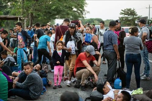 Mexico thành công với chiến dịch kiềm chế làn sóng di cư bất hợp pháp