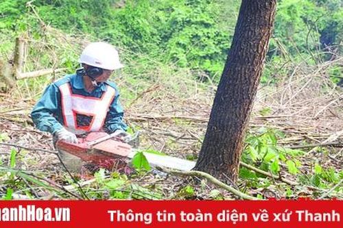 Thanh Hóa đẩy mạnh xây dựng và thực hiện phương án quản lý rừng bền vững