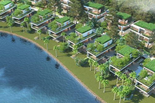 Chất sống 'huyền thoại' dành riêng cho những triệu phú USD tại Việt Nam