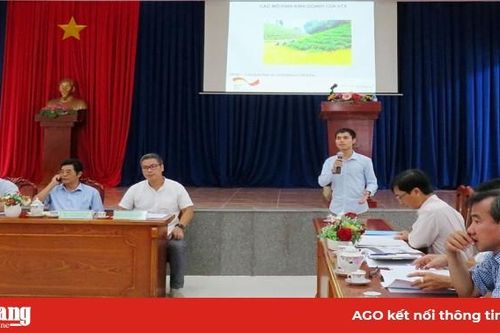 Phú Tân: Xác định mô hình kinh doanh hợp tác xã nông nghiệp