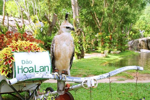 Khai trương tour du thuyền khám phá đầm Nha Phu - đảo Hoa Lan