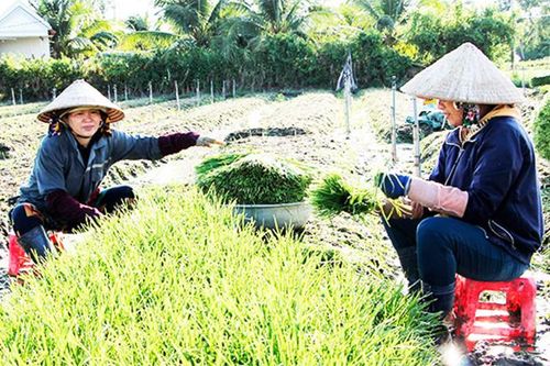 Thoát nghèo nhờ nguồn vốn xoay vòng