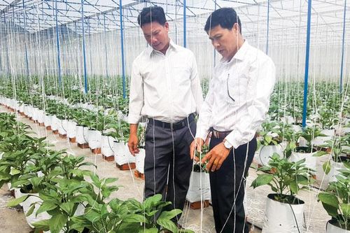 Gọi tên nông sản đặc trưng