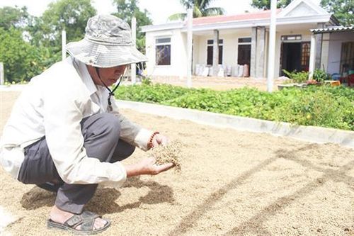 Cần sớm hỗ trợ người dân khôi phục sản xuất, ổn định đời sống