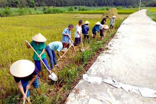 Gấp rút hoàn thành kênh mương và đường nội đồng