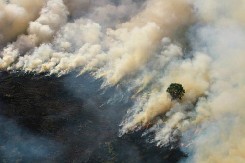 Cháy rừng Indonesia khiến Malaysia, Singapore chìm trong khói bụi