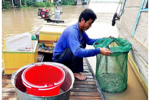 Rục rịch lũ muộn