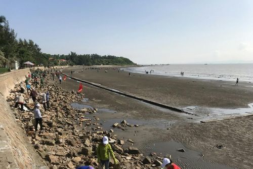 Lễ phát động quốc gia hưởng ứng Chiến dịch 'Làm cho thế giới sạch hơn' năm 2019