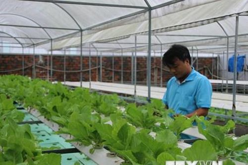 Ứng dụng công nghệ cao vào nông nghiệp để nâng cao tính cạnh tranh