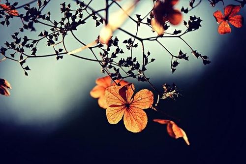 Đời người chỉ khi vứt bỏ 4 điều này mới mong được hạnh phúc viên mãn