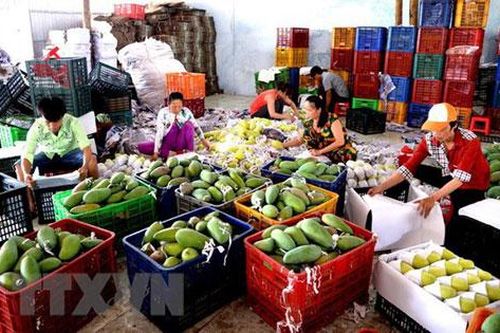Giá trị xuất khẩu rau quả của Việt Nam 8 tháng qua giảm gần 6%