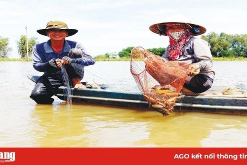 Bấp bênh mùa lũ muộn