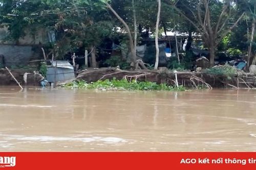 Cần thiết xây dựng kè Châu Phong