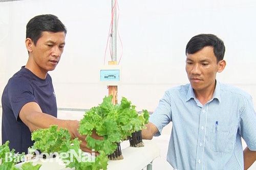 Nông dân làm nông nghiệp sạch