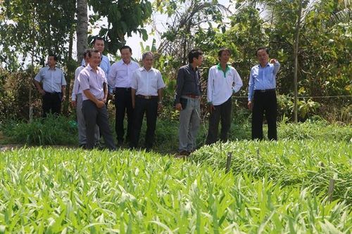 Chủ tịch UBND tỉnh Nguyễn Văn Dương khảo sát một số mô hình sản xuất – kinh doanh tại TP.Cao Lãnh