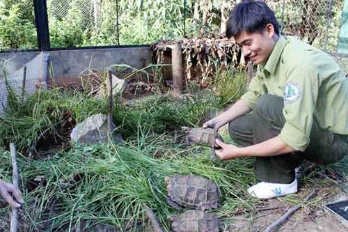 Lào Cai có 45 loài động vật hoang dã nằm trong Sách đỏ Việt Nam