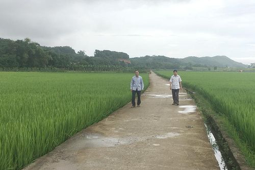 Phùng Xá: Khi Nghị quyết hợp lòng dân