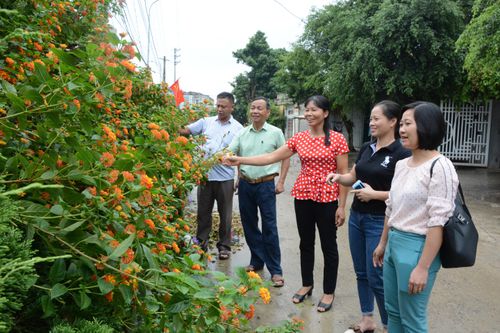 Chuyện chị em phụ nữ chung tay bảo vệ môi trường