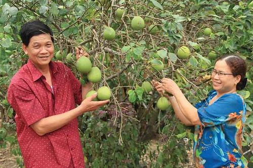 Phát triển nông nghiệp theo hướng bền vững