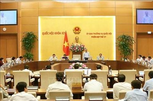 Bỏ quy định về bổ sung nhiệm vụ giám định tư pháp cho Kiểm toán nhà nước
