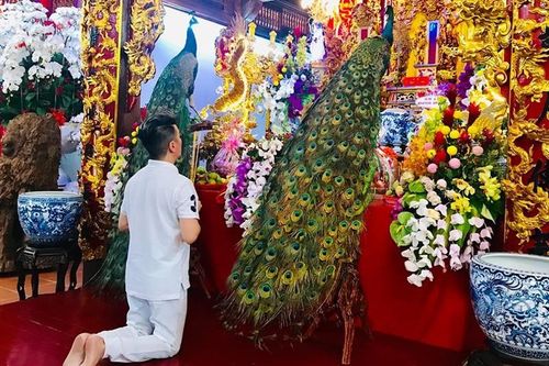 Đàm Vĩnh Hưng 'ăn mảnh' cúng Tổ nghiệp, dâng lễ vật độc lạ