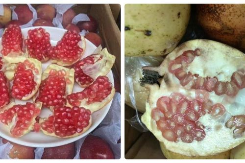 Chỉ cần nhìn đặc điểm này sẽ biết lựu Việt Nam hay Trung Quốc
