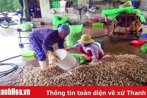 Liên kết trong nuôi trồng thủy sản