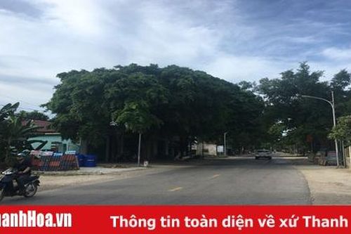 Huyện Nông Cống tăng cường công tác quản lý đất đai trên địa bàn