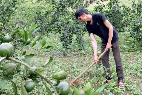 Những 'đầu tàu' năng động trong làm kinh tế