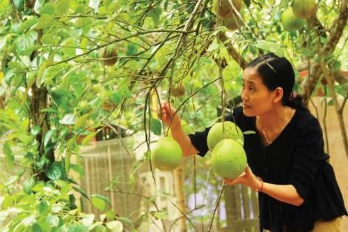 Kinh tế Nông nghiệp - Nông thôn Nông sản chưa 'vượt đường biên'