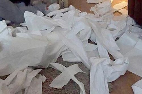 Phòng con gái ngập giấy vệ sinh bốc mùi, người mẹ bàng hoàng phát hiện sự thật đau lòng đằng sau