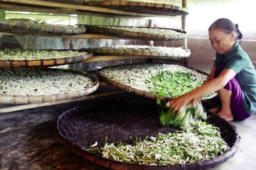 Động lực giúp nông dân thoát nghèo