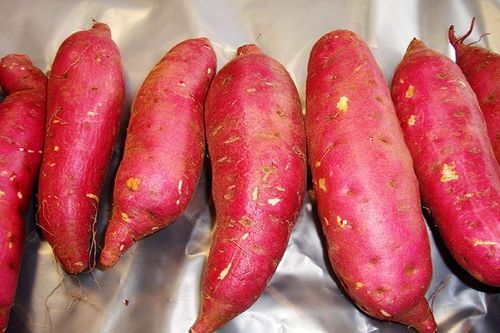 2 bộ bàn cách xuất khẩu khoai lang, chanh leo, dừa... sang Trung Quốc