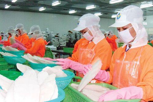 Tìm giải pháp đưa nông thủy sản Việt Nam sang Trung Quốc
