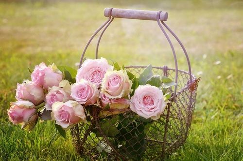 Tử vi ngày 15/9/2019: Tuổi Dần tiền rơi khỏi tay, tuổi Tuất thu về lợi lớn