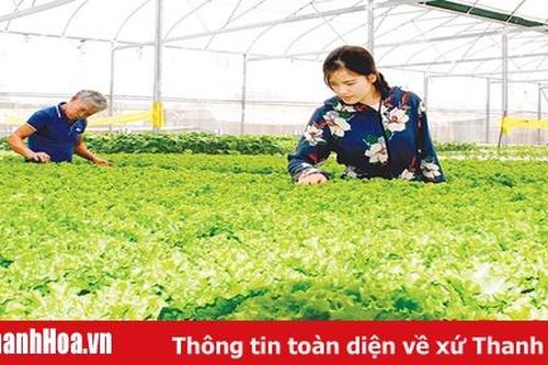 Nhân rộng mô hình phát triển sản xuất trong xây dựng nông thôn mới