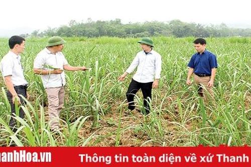 Huyện Thạch Thành nâng cao chất lượng đội ngũ cán bộ cơ sở, cán bộ người dân tộc thiểu số
