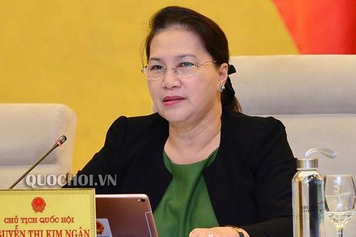 Thẩm định sân bay Long Thành: Một tạ tài liệu, Ủy ban Kinh tế sao gánh nổi!