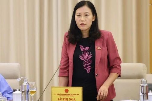 'Đại biểu Quốc hội do dân bầu ra thì để dân đánh giá!'