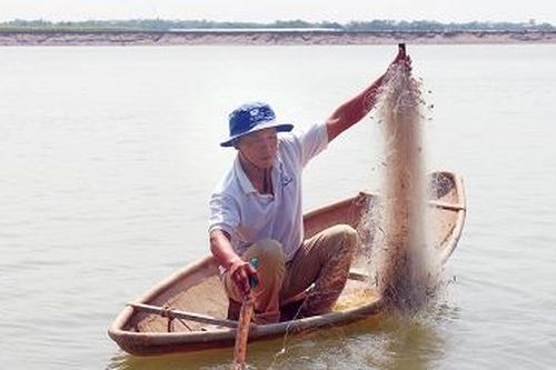 Săn cá sông Đà