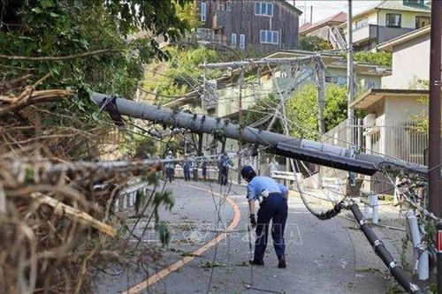 Thế giới Thế giới Bão Faxai đánh gục mạng lưới điện già cỗi của Nhật Bản