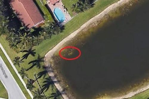 Phát hiện người mất tích 22 năm nhờ... Google Maps