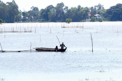 Mưu sinh… lũ muộn