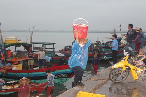 Nhọc nhằn phận người phụ nữ đội cá thuê