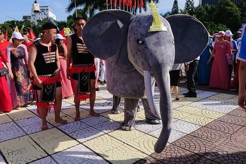 Những món trợ lực ứng viên quán quân Đường lên đỉnh Olympia