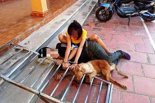 Truy quét băng nhóm 'cẩu tặc' hơn 10 đối tượng bắt trộm 40 con chó trong đêm